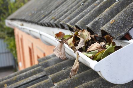 Why Hire A Commercial Gutter Cleaning Company For Your Business
