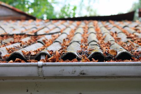 Why You Should Hire a Professional Gutter Cleaning Service