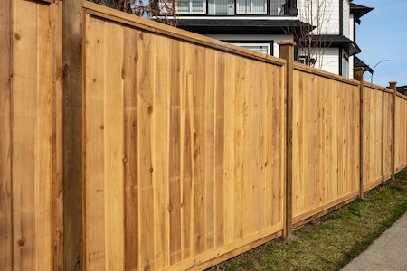 Why Your Fence Looks Older Than It Is: The Hidden Impact of Algae, Mold, and Mildew