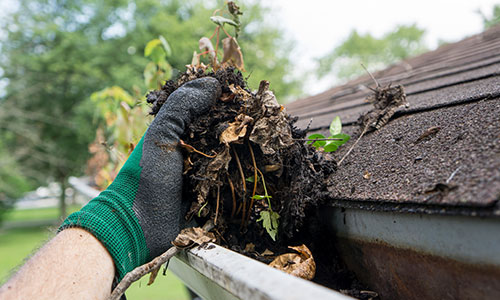 Gutter Cleaning